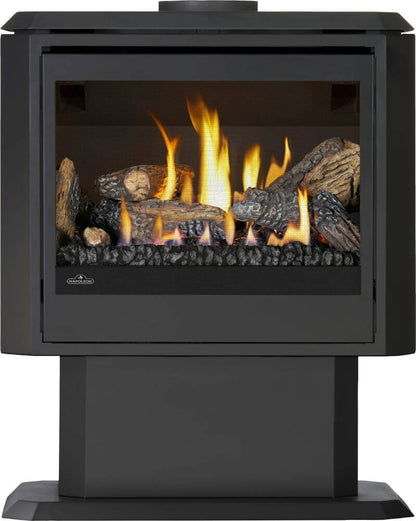 Napoleon Havelock Elite 28" Black Direct Vent Natural Gas Stove