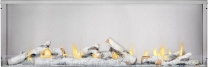 Napoleon Galaxy 62" Outdoor Natural Gas Fireplace