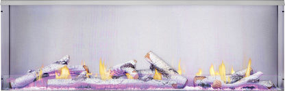 Napoleon Galaxy 62" Outdoor Natural Gas Fireplace