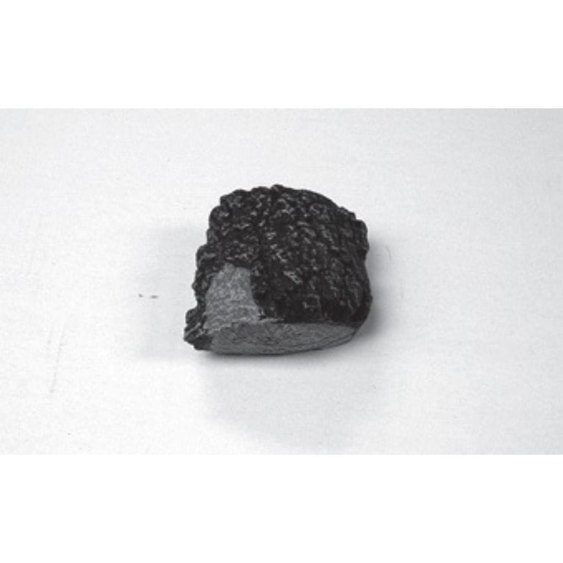 Golden Blount Remote Control Receiver Log