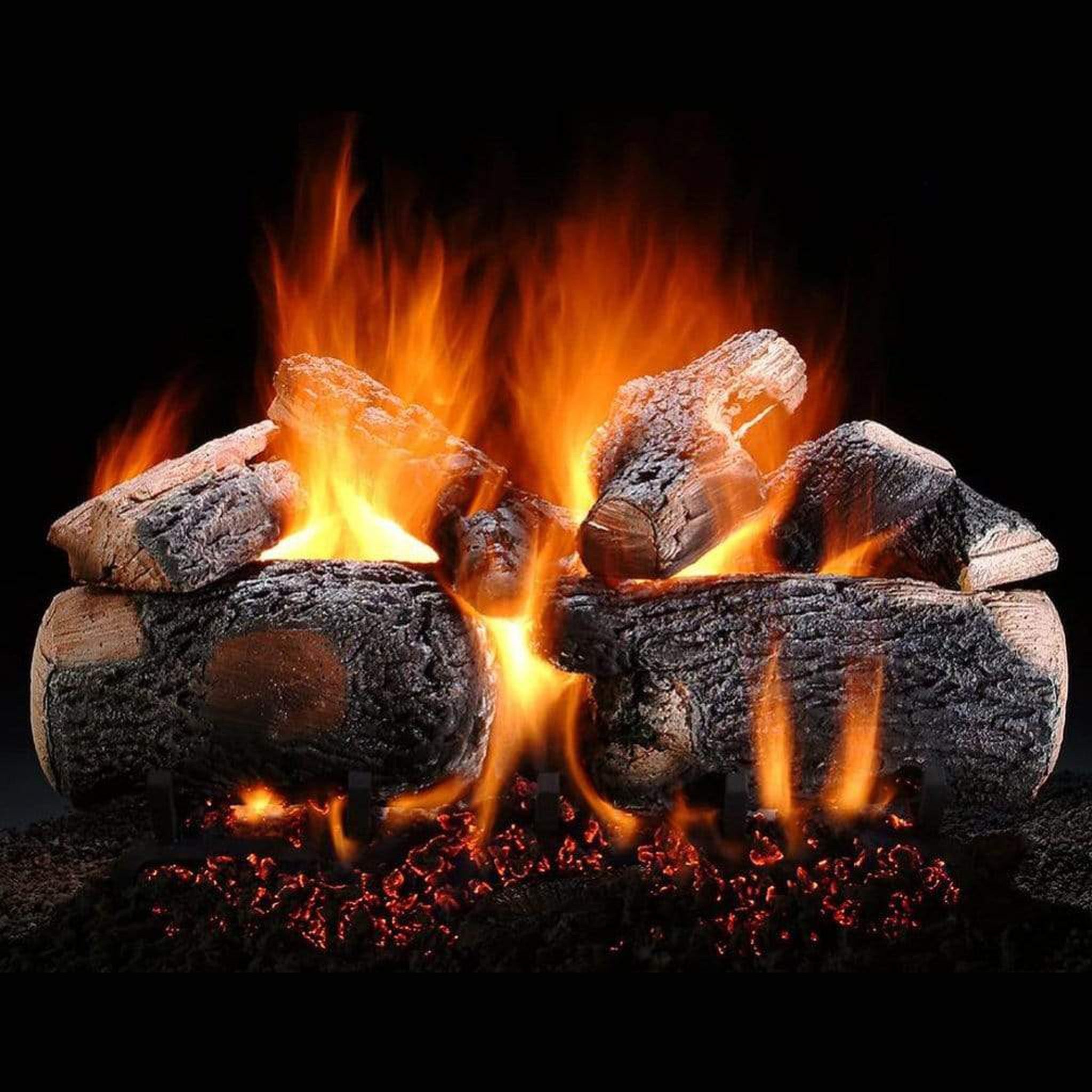 Hargrove Charred Series 24