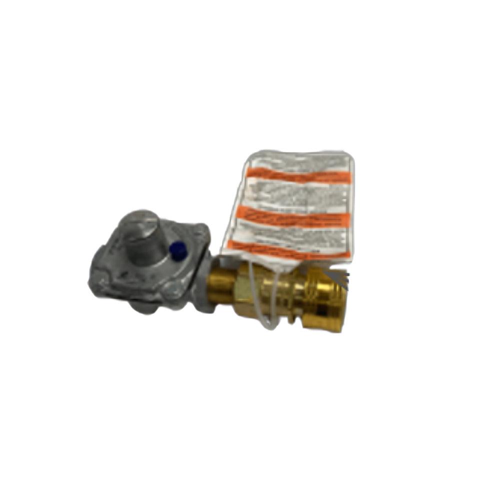 IR Energy Natural Gas Regulator With Quick Disconnect Kit for GA301M/MP