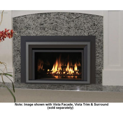 IronStrike Madison Park 32 Direct Vent Contemporary Natural Gas Fireplace Insert
