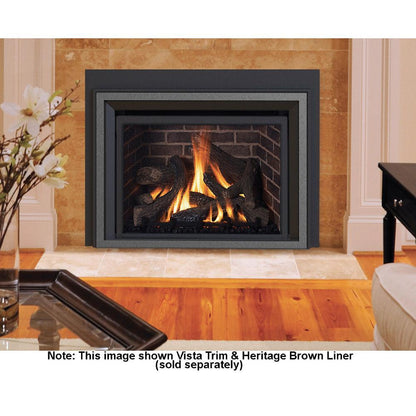 IronStrike Madison Park 34 Direct Vent Natural Gas Fireplace Insert
