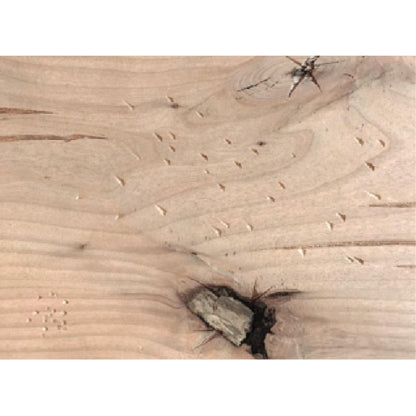 Majestic Design Series Battlefield C 53" Unfinished Distressed Knotty Alder Rustic Style Flush Wood Fireplace Mantel With Custom New Gray Satin Color