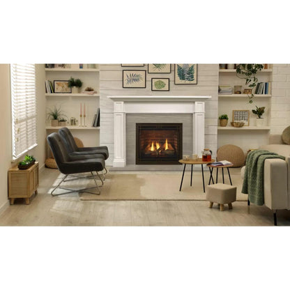 Majestic Black Contemporary Rectangular Door for Quartz Platinum 36" Gas Fireplace