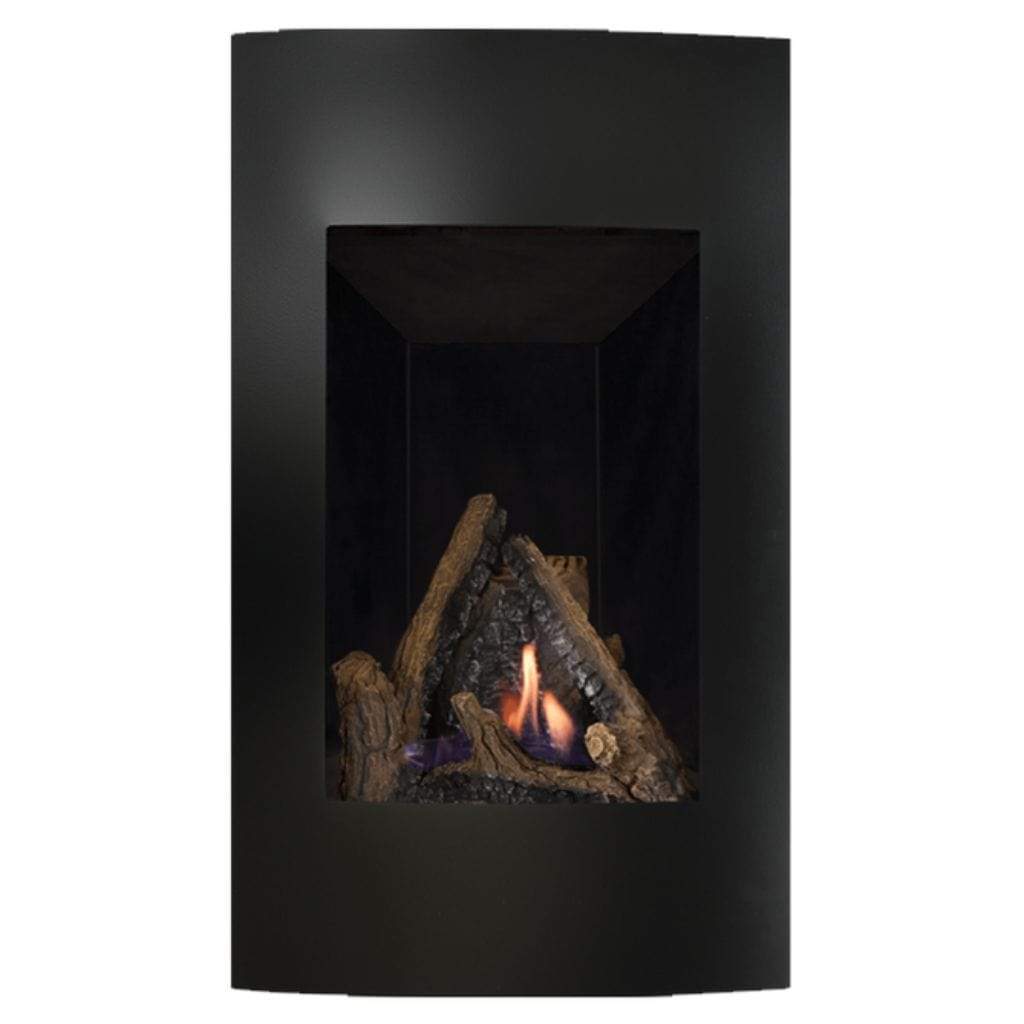 NAPOLEON 22" Vittoria Direct Vent Gas Fireplace | GD19N-2 – US ...