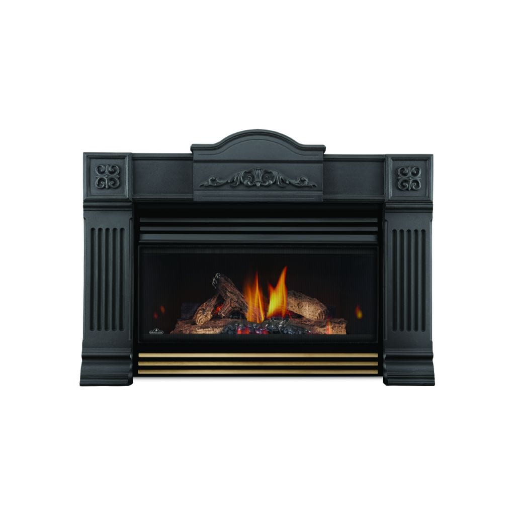 Napoleon 25" Roxbury 3600 Direct Vent Gas Fireplace Insert