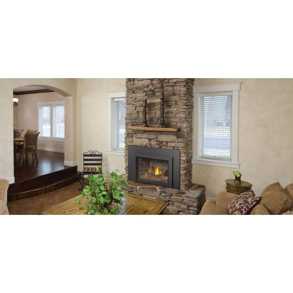 Napoleon 29" Oakville 3 Direct Vent Gas Fireplace Insert