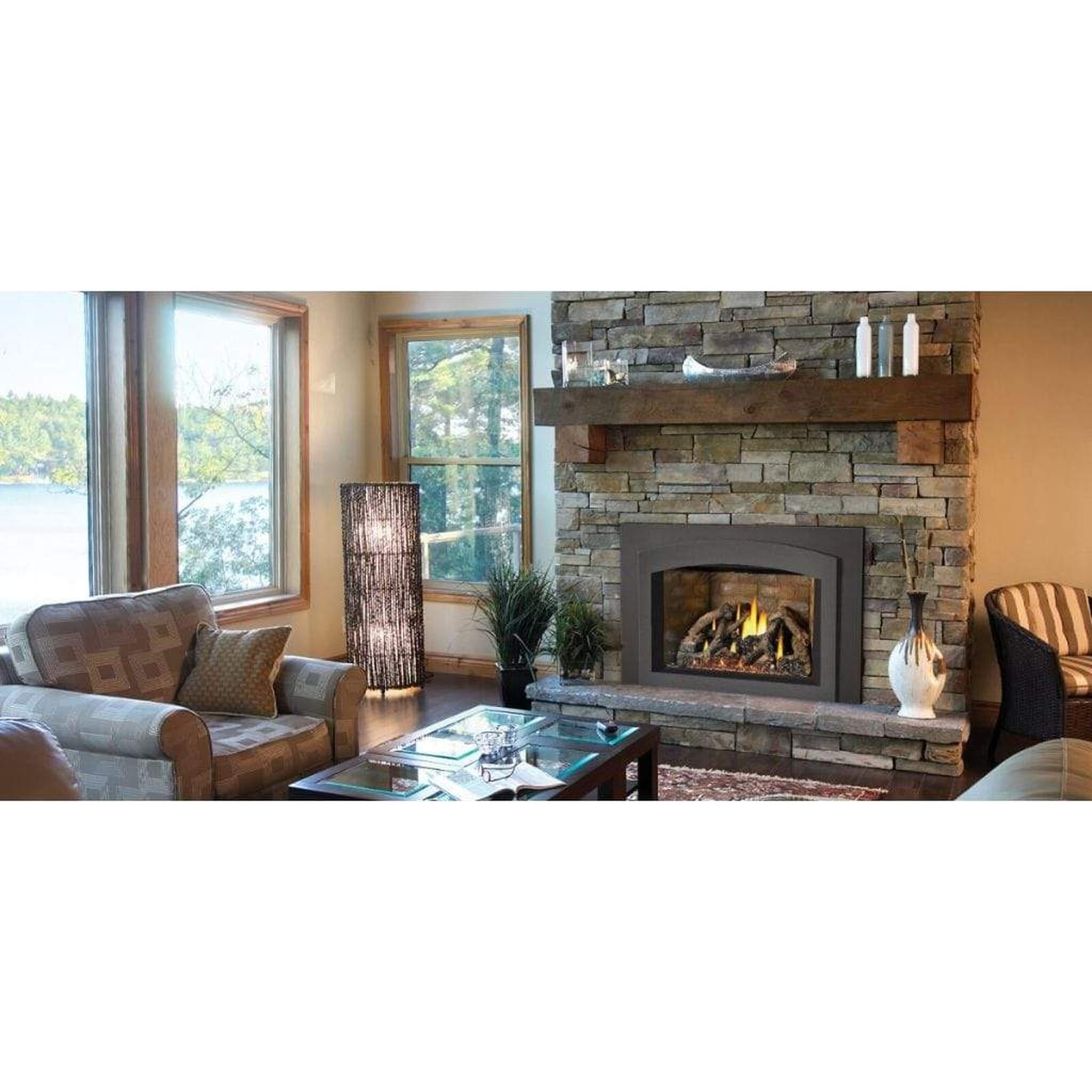 NAPOLEON Oakville X4 Direct Vent Gas Fireplace Insert | GDIX4N-1