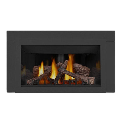 Napoleon 36" Inspiration ZC Direct Vent Gas Fireplace Insert