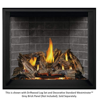 Napoleon 45" Elevation X 42 Direct Vent Gas Fireplace