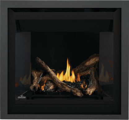 Napoleon Altitude 36" Electronic Ignition, Natural Gas Direct Vent Fireplace