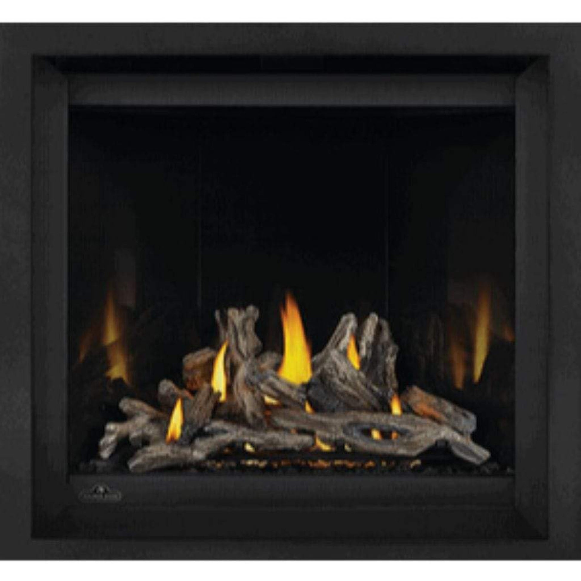 Napoleon Altitude™ X Series 36" Direct Vent Gas Fireplace