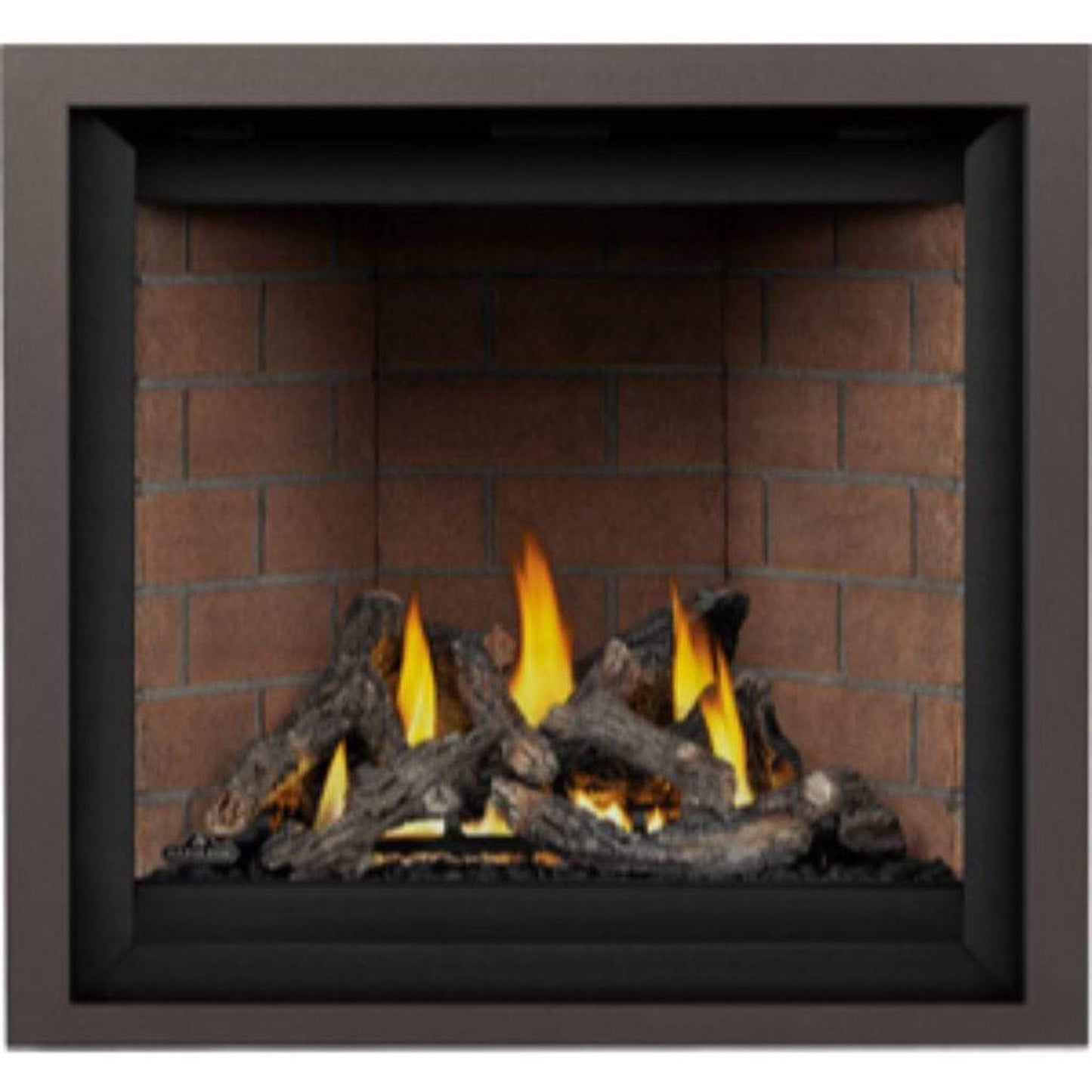 Napoleon Altitude™ X Series 36" Direct Vent Gas Fireplace