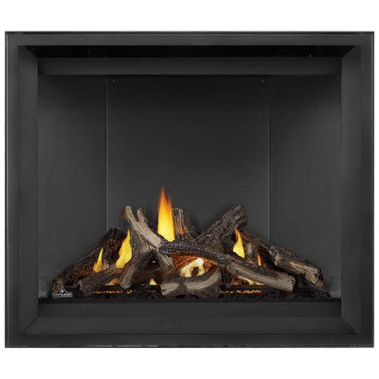 Napoleon Altitude™ X Series 42" Direct Vent Gas Fireplace