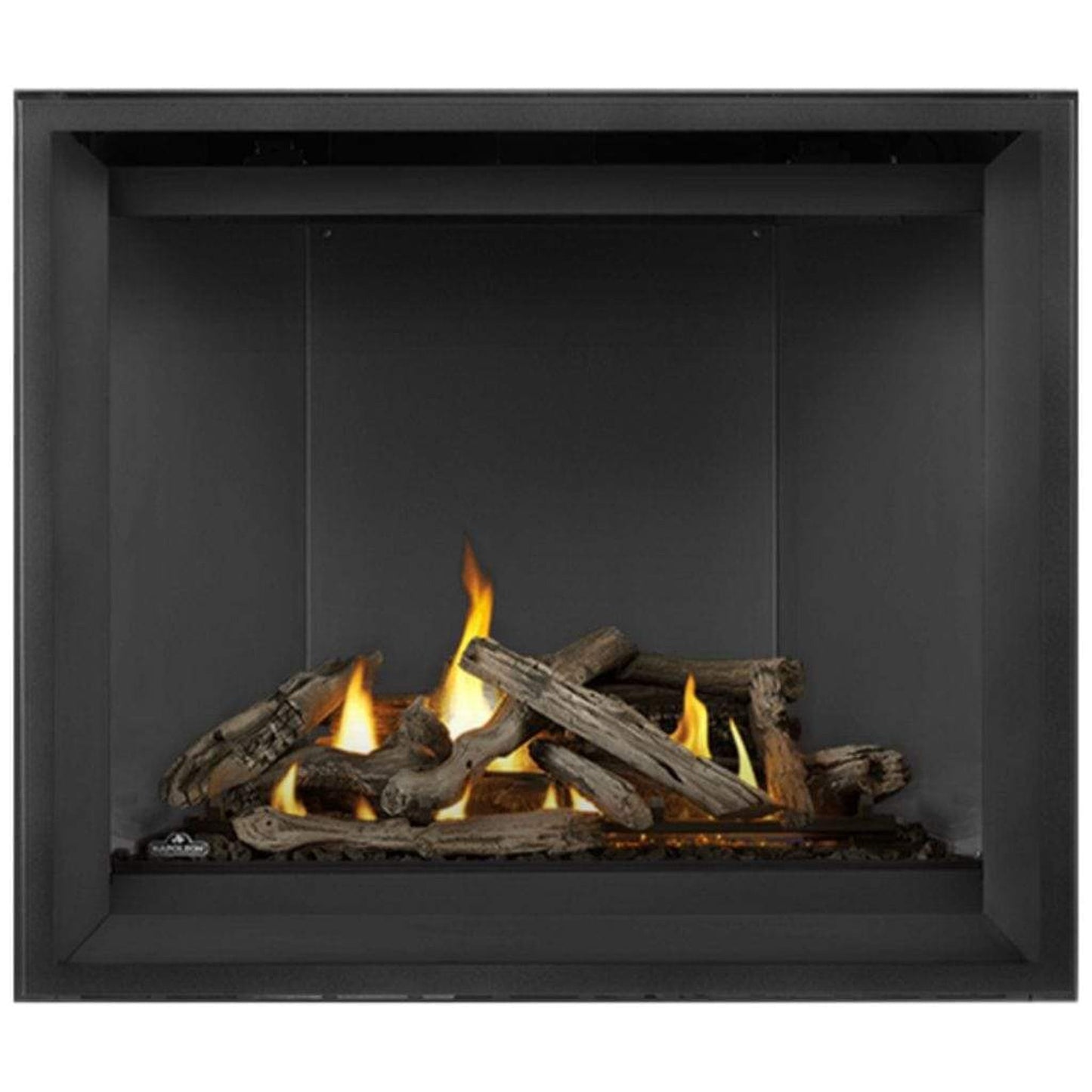 Napoleon Altitude™ X Series 42" Direct Vent Gas Fireplace