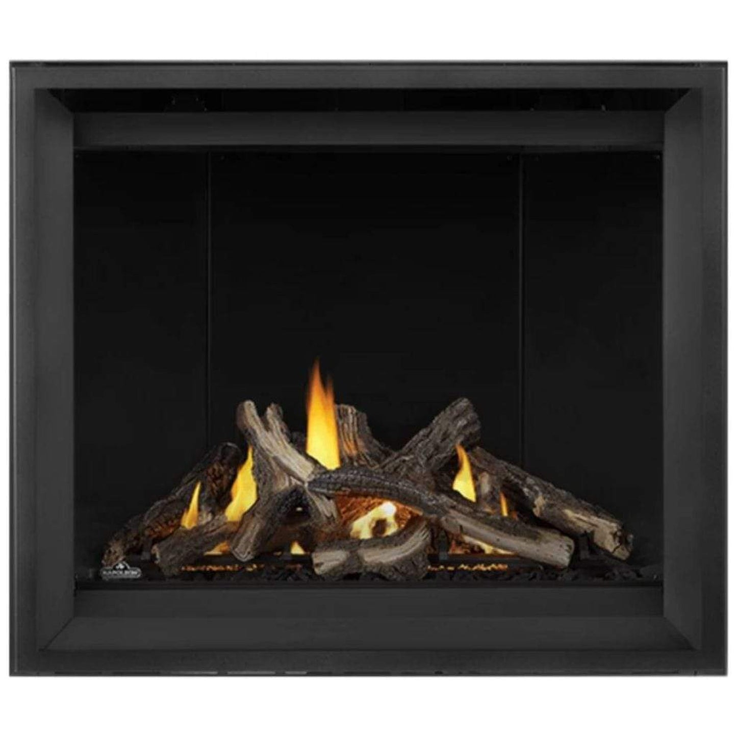 Napoleon Altitude™ X Series 42" Direct Vent Gas Fireplace