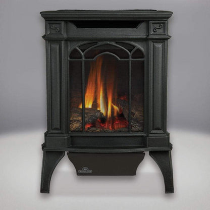 Napoleon 19" Arlington Direct Vent Cast Iron Gas Stove