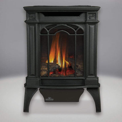 Napoleon Arlington 19" Metallic Black Direct Vent Cast Iron Gas Stove With Millivolt Ignition