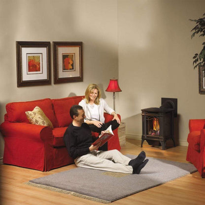 Napoleon Arlington 19" Porcelain Majolica Brown Direct Vent Cast Iron Gas Stove With Millivolt Ignition