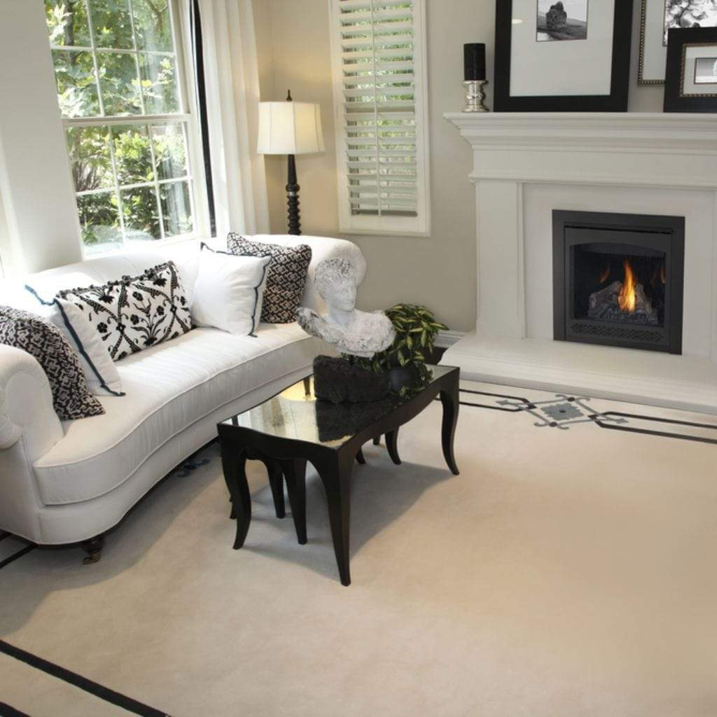 Napoleon Ascent 30" Millivolt Ignition, Natural Gas Direct Vent Fireplace