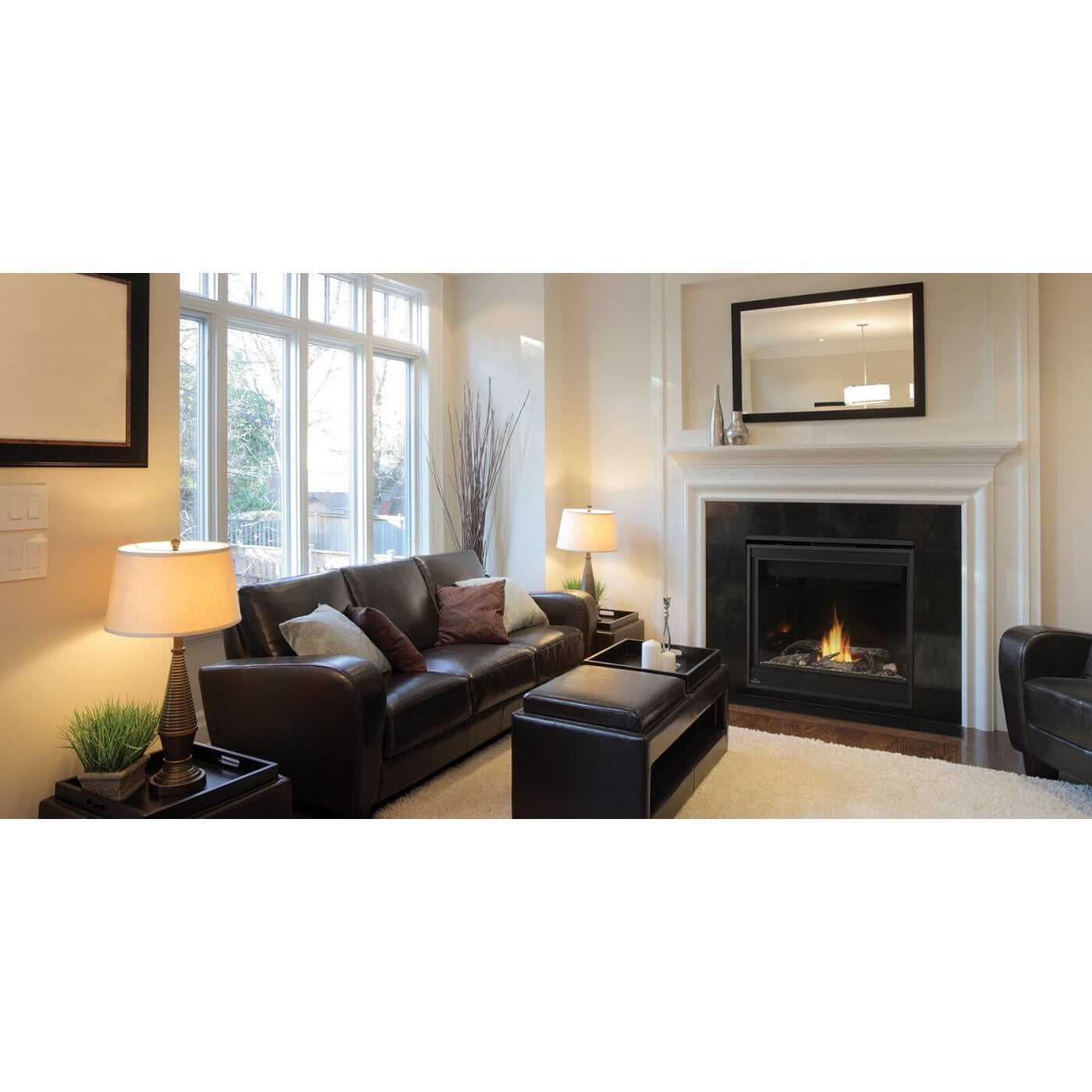 Napoleon Ascent 42" Electronic Ignition, Natural Gas Direct Vent Fireplace