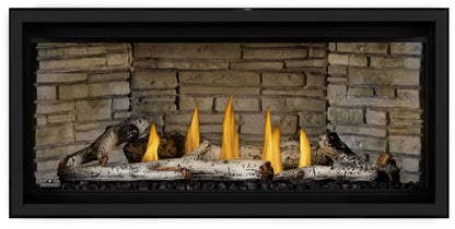 Napoleon Ascent Linear Premium 42" Built-in Direct Vent Natural Gas Fireplace