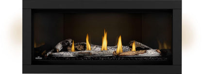 Napoleon Ascent Linear Premium 46" Built-in Direct Vent Natural Gas Fireplace