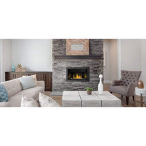 NAPOLEON BL46 Ascent Linear 46 Direct Vent Gas Fireplace – US Fireplace ...