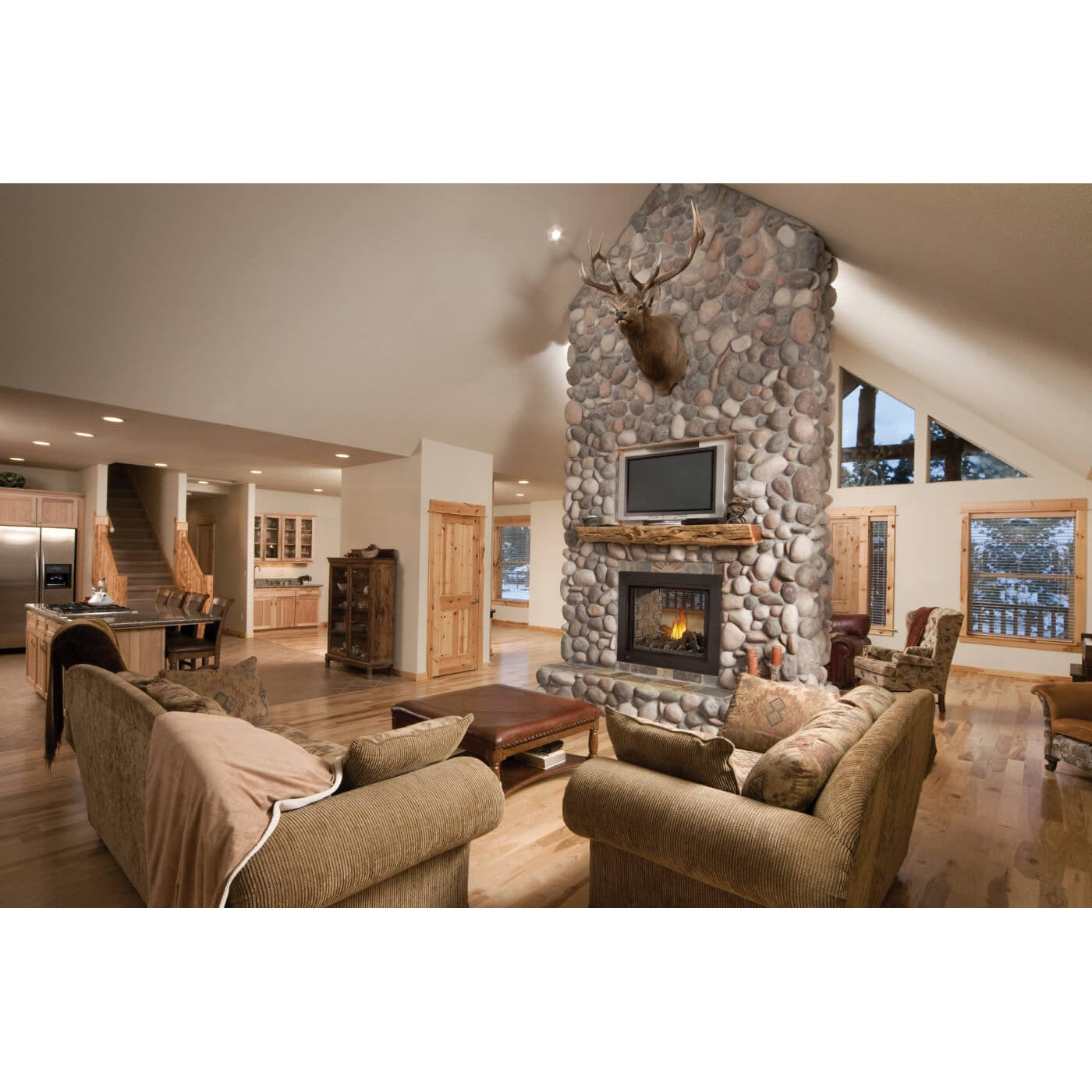 Napoleon Ascent Multi-View 45" Electronic Ignition, Natural Gas Direct Vent See Through Fireplace With Logs