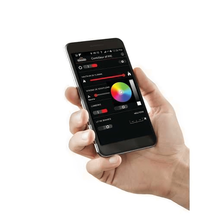 Napoleon Bluetooth Advanced eFIRE Controller for Natural Gas Fireplace