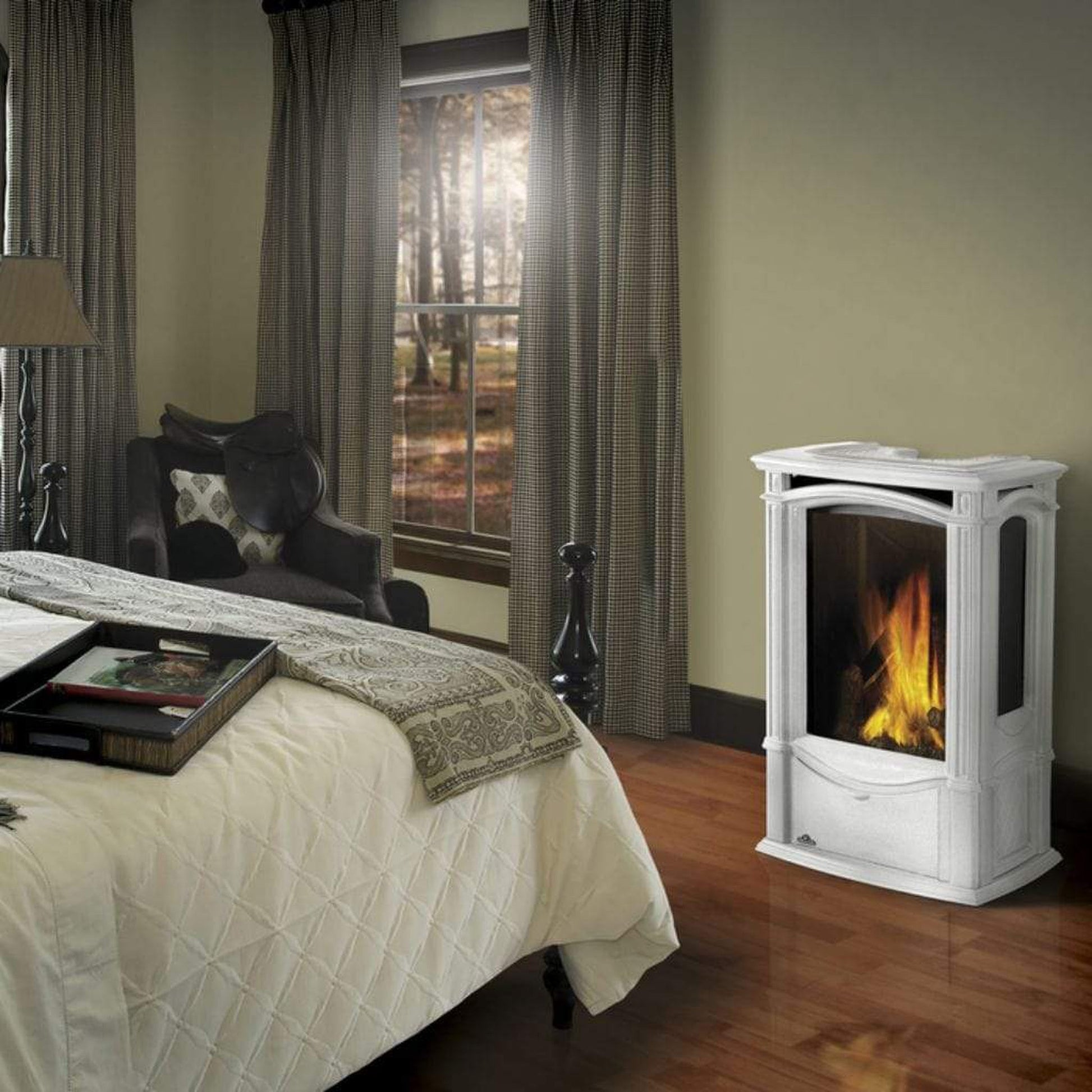 Napoleon Castlemore 24" Metallic Black Direct Vent Cast Iron Gas Stove