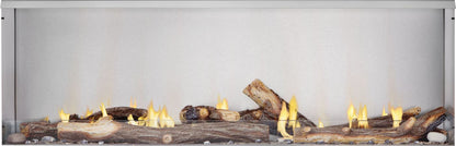 Napoleon Galaxy 62" Outdoor Natural Gas Fireplace