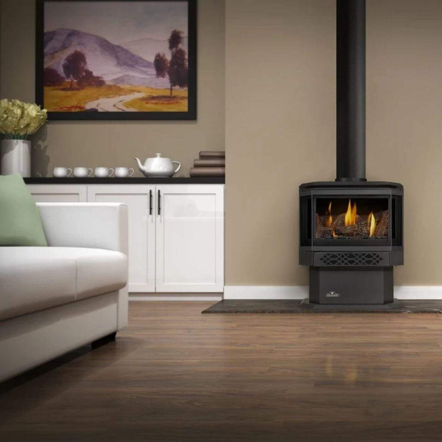 Napoleon Haliburton 23" Black Direct Vent Gas Stove With Millivolt Ignition