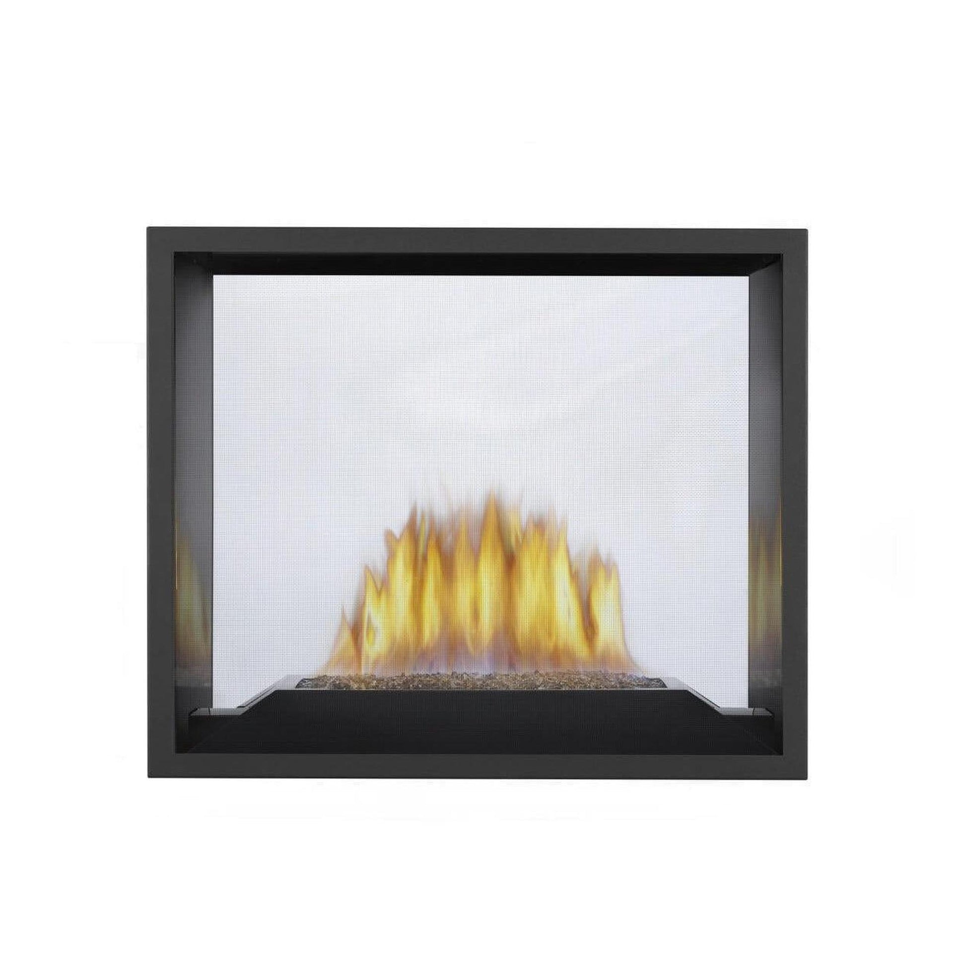 Napoleon High Definition HD81 54" Electronic Ignition, Natural Gas Direct Vent See Through Fireplace