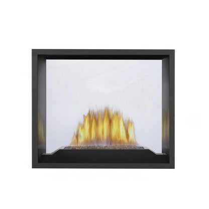 Napoleon High Definition HD81 54" Electronic Ignition, Natural Gas Direct Vent See Through Fireplace