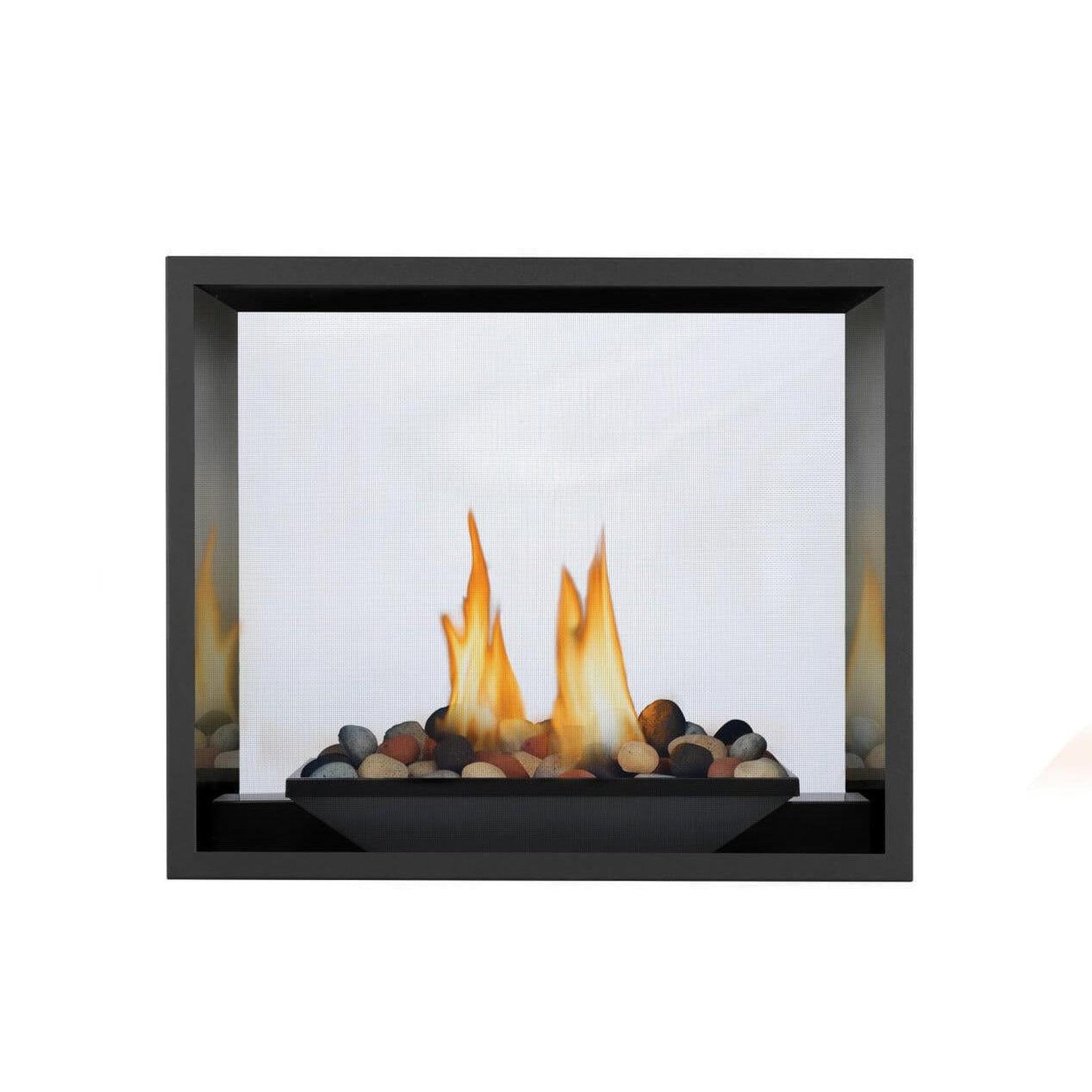 Napoleon High Definition HD81 54" Electronic Ignition, Natural Gas Direct Vent See Through Fireplace