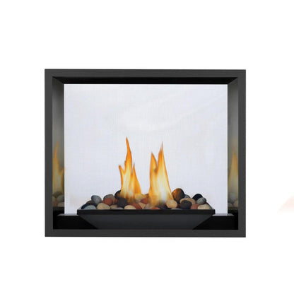 Napoleon High Definition HD81 54" Electronic Ignition, Natural Gas Direct Vent See Through Fireplace