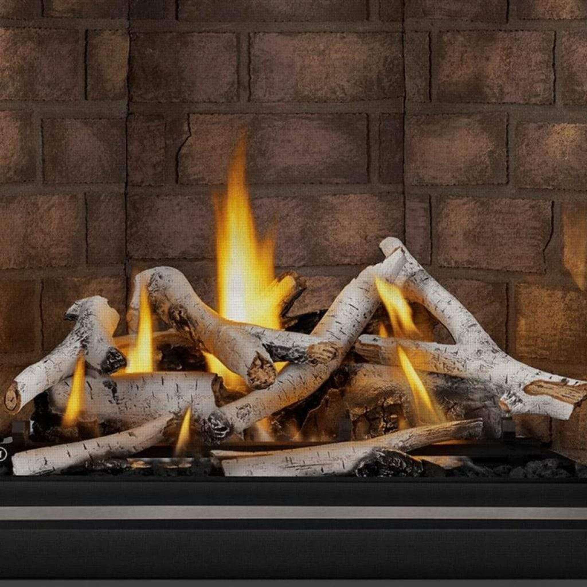 NAPOLEON Log Set for 42