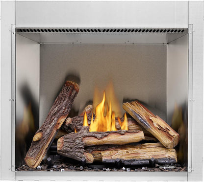 Napoleon Riverside 36" Clean Face Outdoor Natural Gas Fireplace