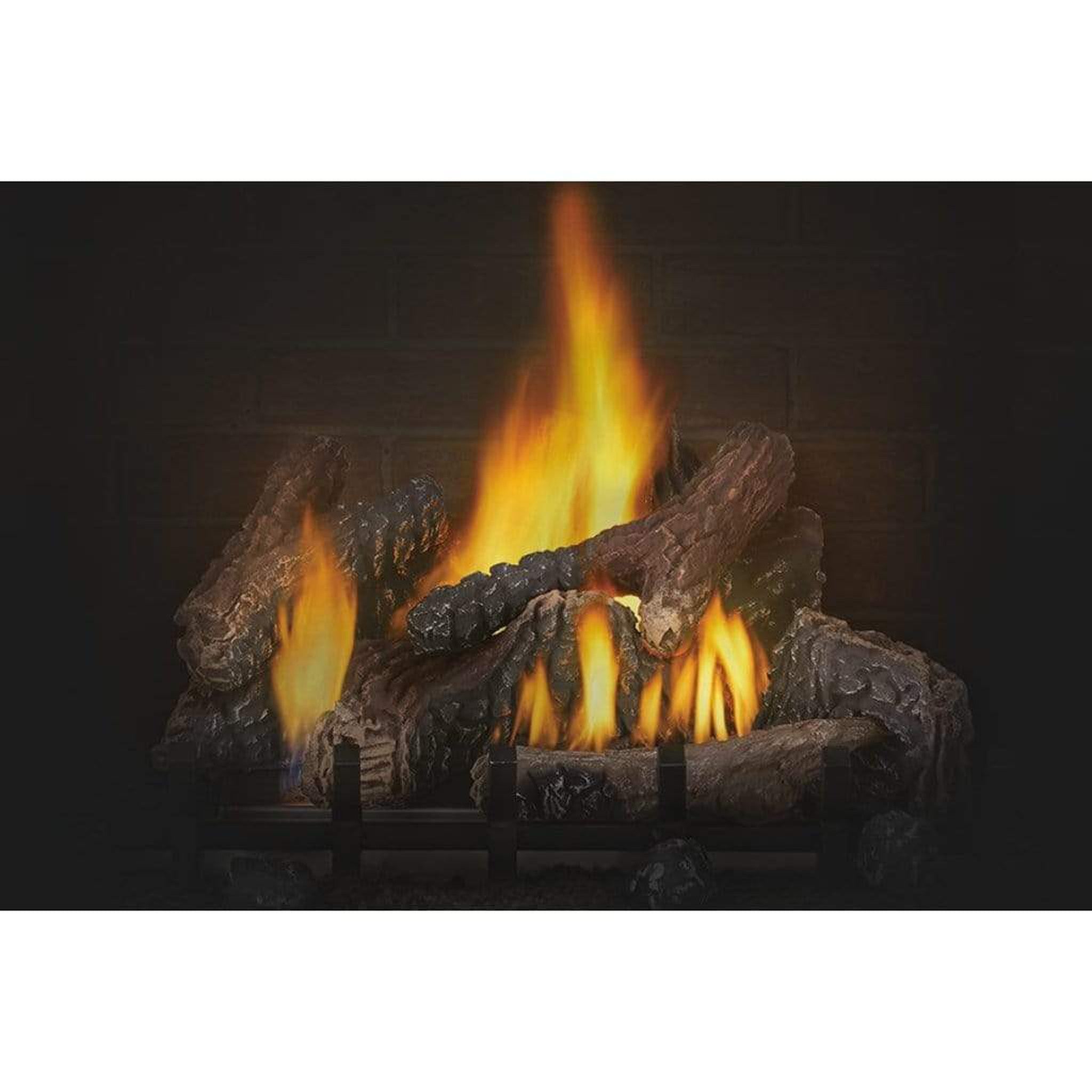NAPOLEON Riverside 42 Clean Face Outdoor Gas Fireplace – US
