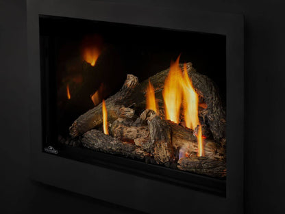 Napoleon Rosedale 3 Direct Vent Natural Gas Fireplace Insert