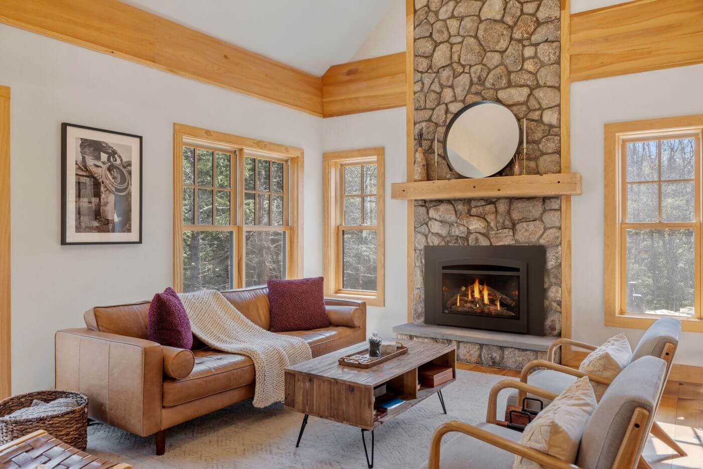 Napoleon Rosedale 3 Direct Vent Natural Gas Fireplace Insert