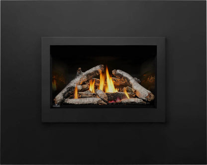 Napoleon Rosedale 3 Direct Vent Natural Gas Fireplace Insert