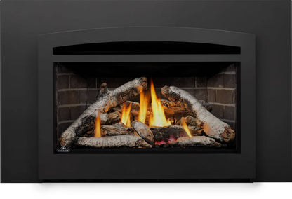 Napoleon Rosedale 3 Direct Vent Natural Gas Fireplace Insert