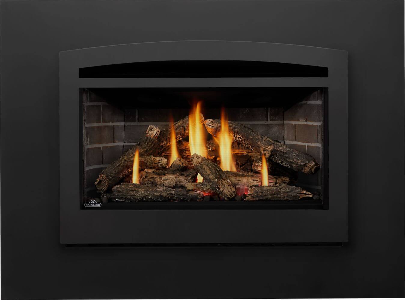 Napoleon Rosedale 3 Direct Vent Natural Gas Fireplace Insert