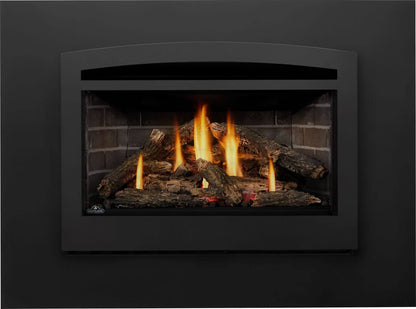 Napoleon Rosedale 3 Direct Vent Natural Gas Fireplace Insert