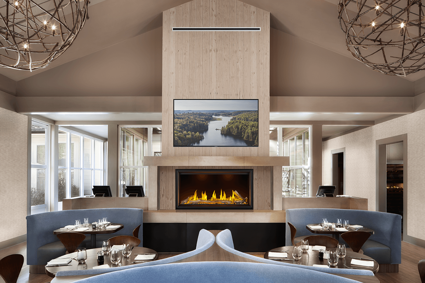 Napoleon Tall Linear Vector 50" Single Sided Direct Vent Natural Gas Fireplace