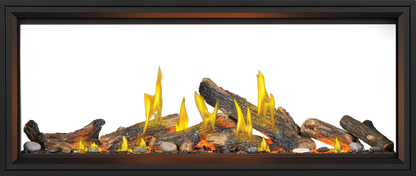 Napoleon Tall Linear Vector 62" See Through Direct Vent Natural Gas Fireplace With Luminous Logs